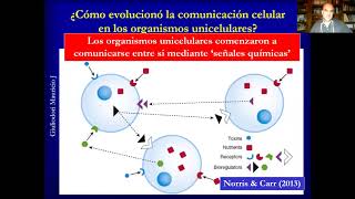 Fisiología del sistema endocrino I fácil rápido y sencillo [upl. by Saibot]