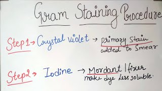 gramstaining easy explanation subscribe mychannel letslearneveryone trendingvideo online [upl. by Sutsugua]