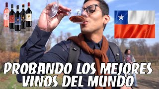 PROBANDO LOS MEJORES VINOS DEL MUNDO VIÑEDOS EL CHILE [upl. by Sidnala]