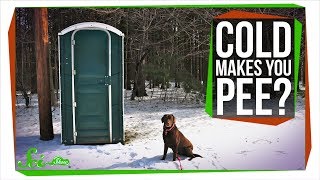 Why Does the Cold Make You Pee [upl. by Sollie107]