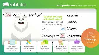 Bestimmte und unbestimmte Artikel le la les un une des einfach erklärt – Franzoesisch [upl. by Esile]