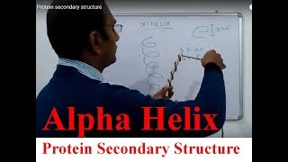 Alpha Helix  Protein secondary structure [upl. by Malinin]