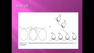 CHO chemistry lec6 DR Mahmoud Ettaweel Polysaccharides الكاربوهيدرات محاضرة 6 د الطويل [upl. by Granniah]