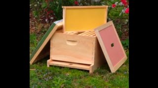 First Year Of Beekeeping basic equipment starting your beehive [upl. by Enilrahc]