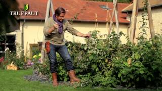 Calendrier du jardinier octobre que faire au jardin ou sur la terrasse  Truffaut [upl. by Melicent]