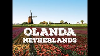 Top 10 cosa vedere in Olanda  Top 10 what to do in Netherlands [upl. by Gabrielli]