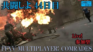 FF15戦友ー共闘しよ44日目 [upl. by Maressa471]