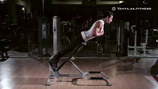 Hyperextensions  Back Exercise [upl. by Aromas]