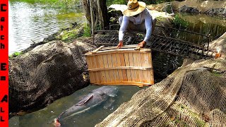 BUILDING a BRIDGE to STOP EXOTIC FISH in NEW BACKYARD POND [upl. by Snahc]