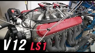 V12 LS1 engine dyno [upl. by Spielman893]