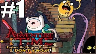 Adventure Time Explore The Dungeon Because I Dont Know Walkthrough Part 1 90 Minutes [upl. by Anavi]