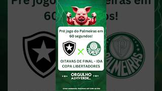 Pré jogo Botafogo x Palmeiras  Oitavas de Final Libertadores palmeiras libertadores botafogo [upl. by Machos910]