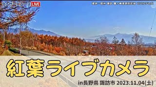 【連休中日】紅葉ライブカメラ／長野県 諏訪市より 20231104土 [upl. by Chatav]