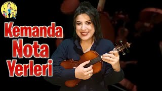 KEMANDA NOTA YERLERİ  DİLARA BAYKAL [upl. by Helse]