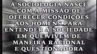 O que é sociologia [upl. by Jerrine]