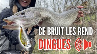 Un leurre BRUYANT pour pêcher le BROCHET en ÉTANG  🔊 [upl. by Marylin990]