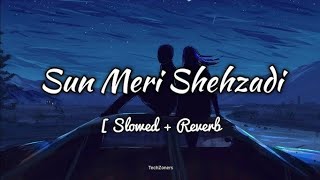 sun meri shehzadi SlowedReverb  Sun mari shehzadi song  lofi song  new song  RGOfficialsong [upl. by Edouard583]