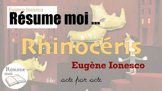 Rhinocéros  Eugène Ionesco  Résumé acte par acte [upl. by Costello]