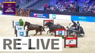 🔴 LIVE  Competition 2  FEI Driving World Cup 202425 Lyon FRA [upl. by Julianna887]