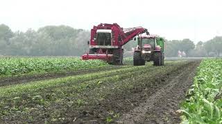 bieten rooien met agrifac HKM HEXA met styer 6150cvt met joskin met case 170 cvx met miedema [upl. by Ayocal106]