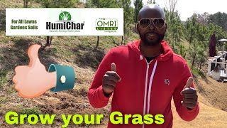 How to Grow your Grass BioChar vs Humichar [upl. by Krisha806]