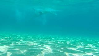 Plaza ksenija Xenia Beach Kassandra Halkidiki Greece with underwater video [upl. by Rennie939]