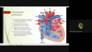 Insuficiencia respiratoria y Fisiopatología de la circulación pulmonar [upl. by Nnyltiak]