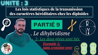 UNITÉ 3  Parti 9 le dihybridisme gènes liés  Crossingover  La distance  La carte factorielle [upl. by Che]