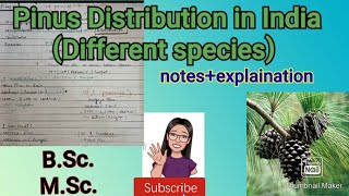 Pinus Distribution in India Detailed notes on Pinus plant Distribution of Gymnosperms in India [upl. by Nomead]