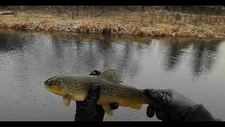 MN Trout Fishing  112024 CampR Opener [upl. by Refinaj]