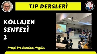 Kollajen Sentezi 2 Histoloji  ProfDrSerdar Akgün Serdar Akgün Tıp Videoları [upl. by Shayna956]