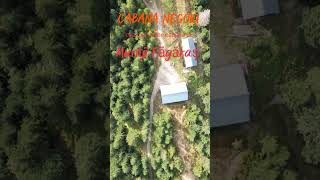 Cabana Negoiu muntiifagaras negoiu nature romania fereastracupovesti mountains drone [upl. by Aneet581]