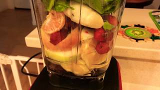 Vitamix Venturist  Smoothie 3 [upl. by Maurey]