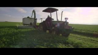 Organic Farming  From Seed to Supplement  Amway [upl. by Dahle966]