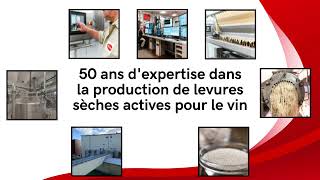 Nous fêtons 50 ans de production et dexpertise en levures œnologiques [upl. by Tibbitts]