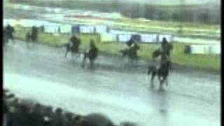 Prix de Cornulier 2001 First de Retz [upl. by Aanas]