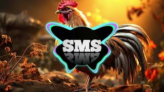 Stoves vai as hcsissfwje  sms song releasenocopyrightmusic [upl. by Laerol]