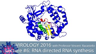 Virology Lectures 2016 6 RNA Directed RNA Synthesis [upl. by Benis45]