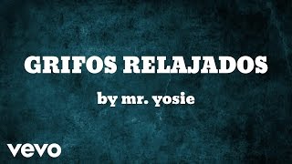 Mr Yosie  GRIFOS RELAJADOS AUDIO [upl. by Enirhtac]