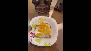 Marmalade Sandwich Recipe  🍊 [upl. by Bonacci]