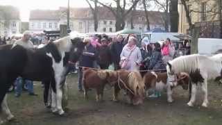 Pferdemarkt Neuruppin [upl. by Mellisa957]