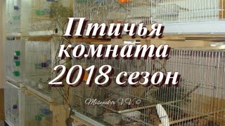 Моя коллекция птиц 251217 Breeding birdroom [upl. by Assin71]