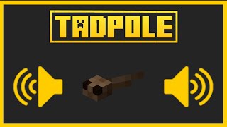 🟨 ALL EFFECTS SOUNDS OF THE TADPOLE  Minecraft Bedrock amp Java 🟨 [upl. by Nosreip]