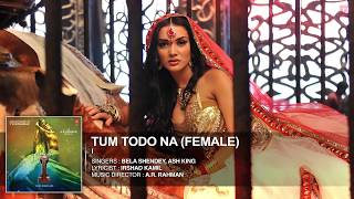 Tum Todo Na Female FULL AUDIO Song I  Aascar Films  A R Rahman  Shankar Chiyaan Vikram [upl. by Acus]