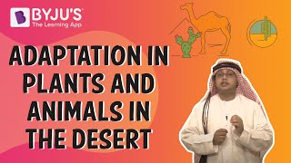 Adaptation In Plants And Animals In The Desert  Class 6  Learn With BYJUS [upl. by Shaeffer]