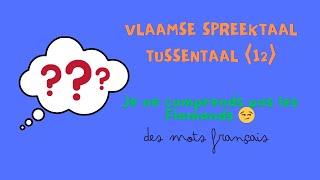 JE NE COMPRENDS PAS LES FLAMANDS 😰 VLAAMSE SPREEKTAAL  TUSSENTAAL 12 🇧🇪 pour CÉSAR ❤️ [upl. by Alekram]