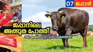 EP07  ജപ്പാനിലെ ലക്ഷങ്ങൾ വിലയുള്ള ബീഫ് 😳 Most expensive meat in the world  Kobe Beef [upl. by Helsell]