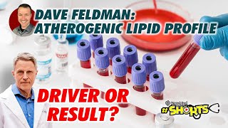 SHORTS Dave Feldman Atherogenic Lipid Profile Driver or Result [upl. by Marozik]