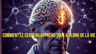 “Analyse des mystères de la neuroscience cognitive  impacts et horizons” [upl. by Jacobah]