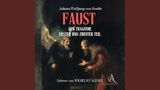 Kapitel 246  Faust 1 und Faust 2  Hörbuch Klassiker [upl. by Ayikal]